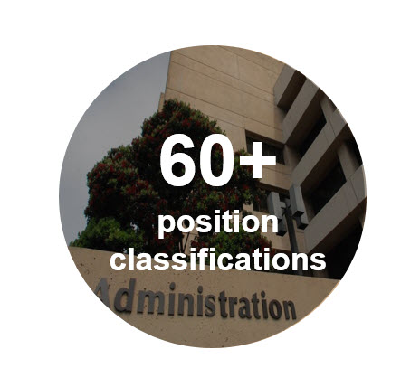 a&f has staff members in over 60 position classifications